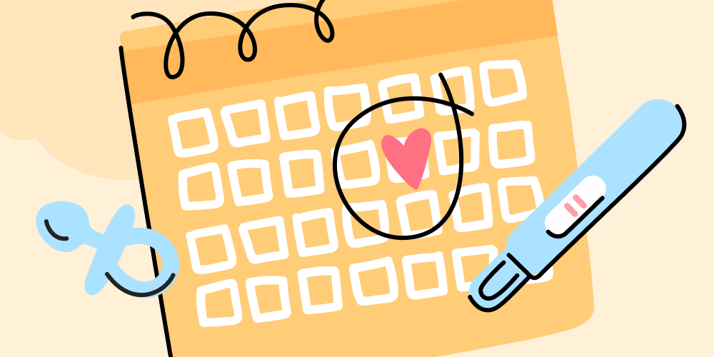 Cómo Seguir tu Ovulación: Guía Completa 2026