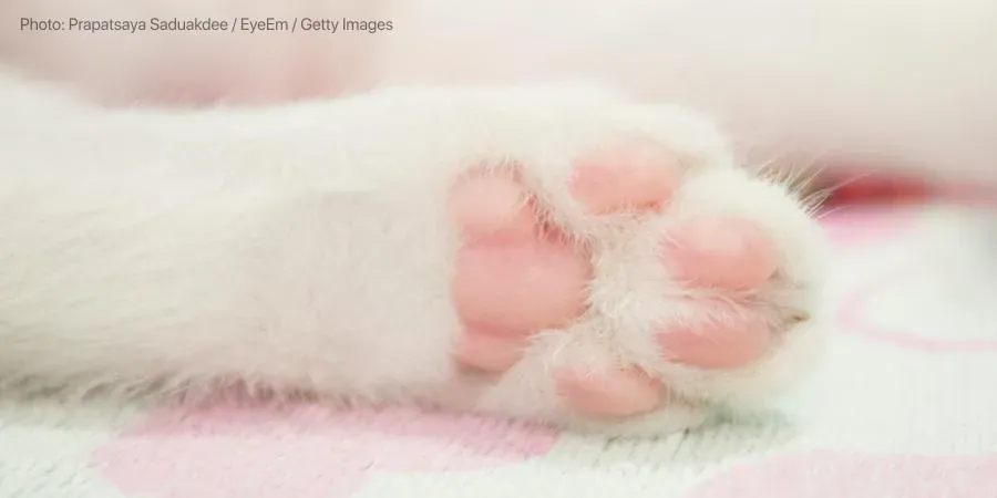 Should I worry about leg cramps?