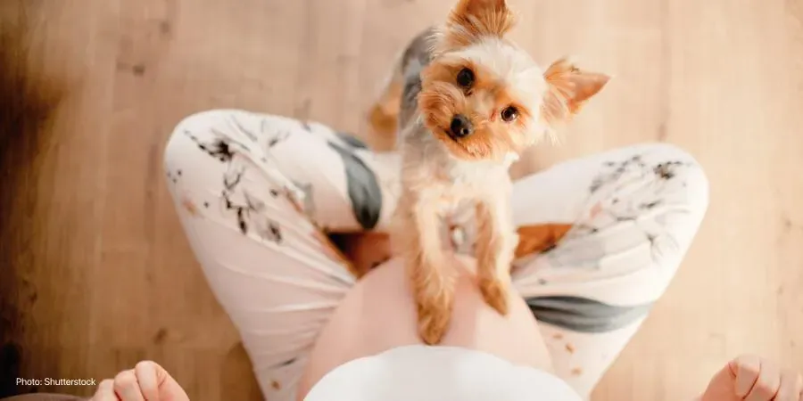 What does it mean when the baby drops?