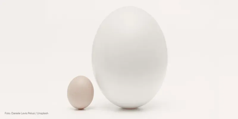 O bebê está ficando enorme! O que isso significa?