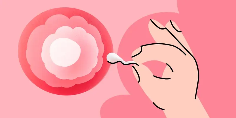 7 mitos sobre Fertilização In Vitro (FIV) 