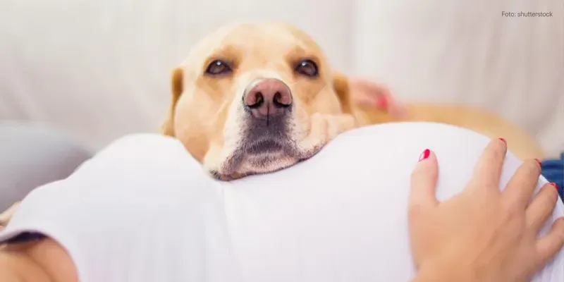 Tenho mais de 40 anos: parto vaginal ou cesariana?