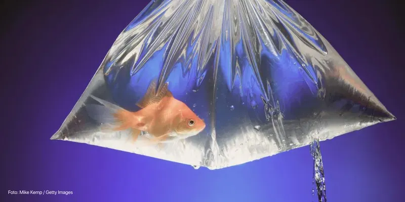 O que é disfunção do assoalho pélvico?