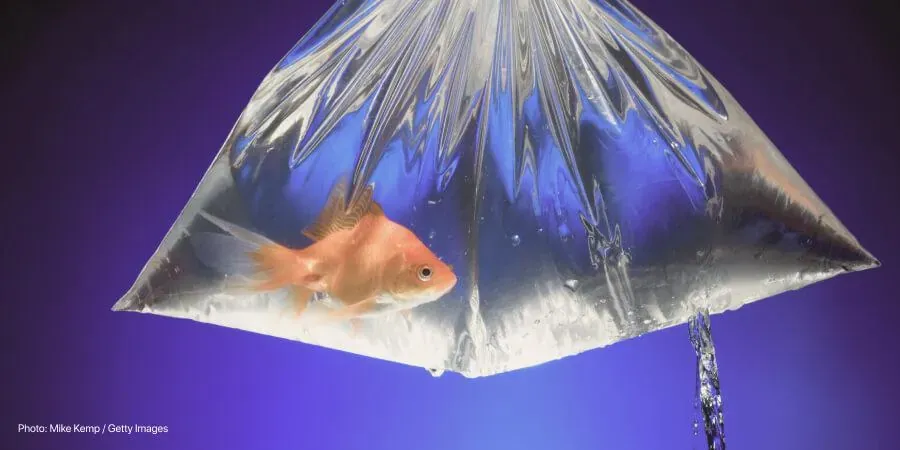 What is pelvic floor dysfunction?