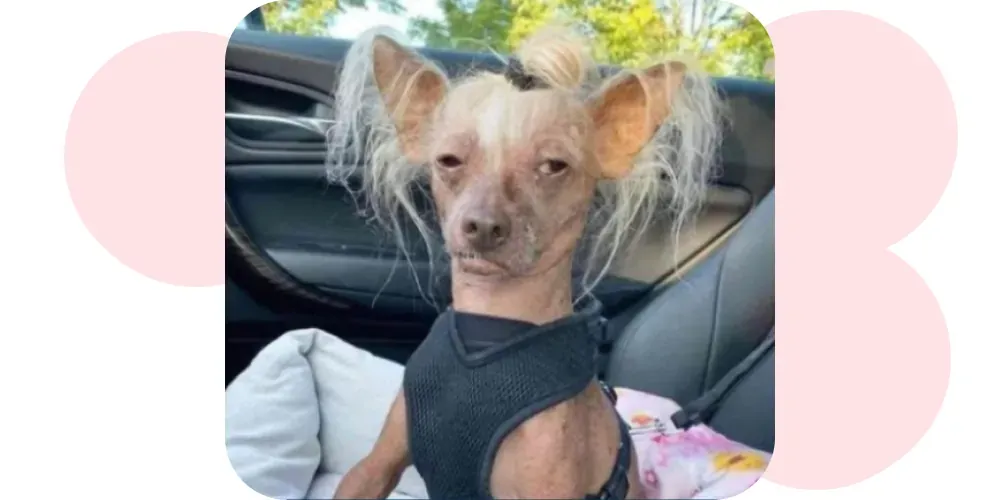 "You're so strong and amazing! Push through, you got this!"