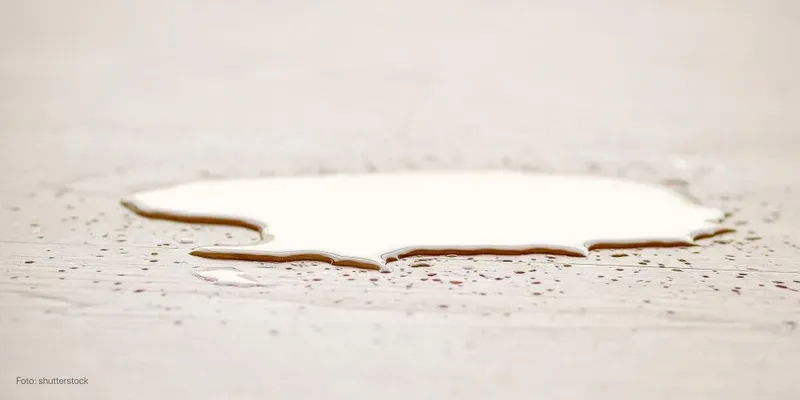 Minha bolsa estourou – e agora?