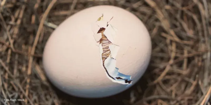 Como saber que está na hora de ir para o hospital