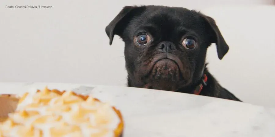 Life after childbirth: How to lose gained weight?