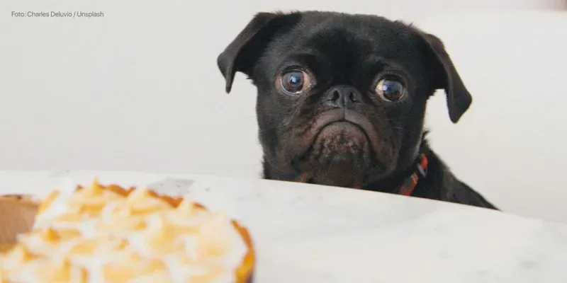 Vida após o parto: como perder o peso da gravidez?