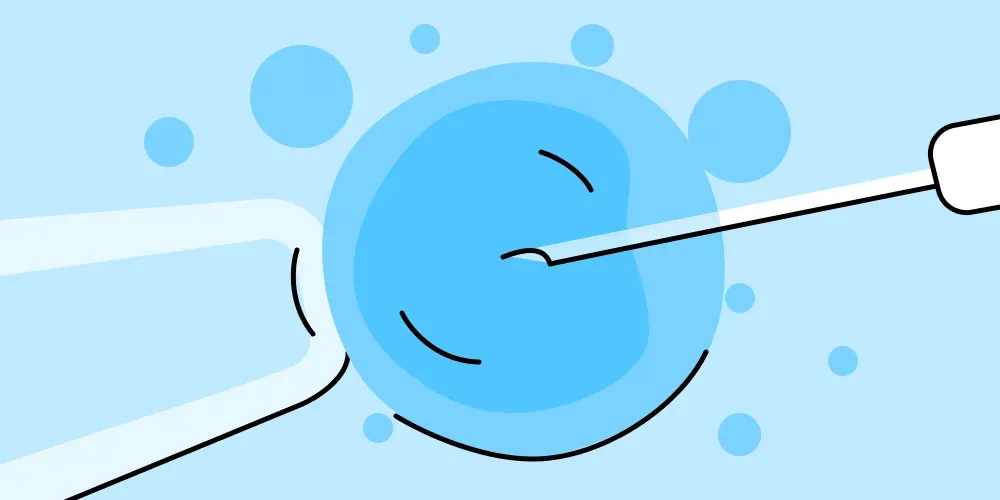 IVF pregnancy: What you need to know