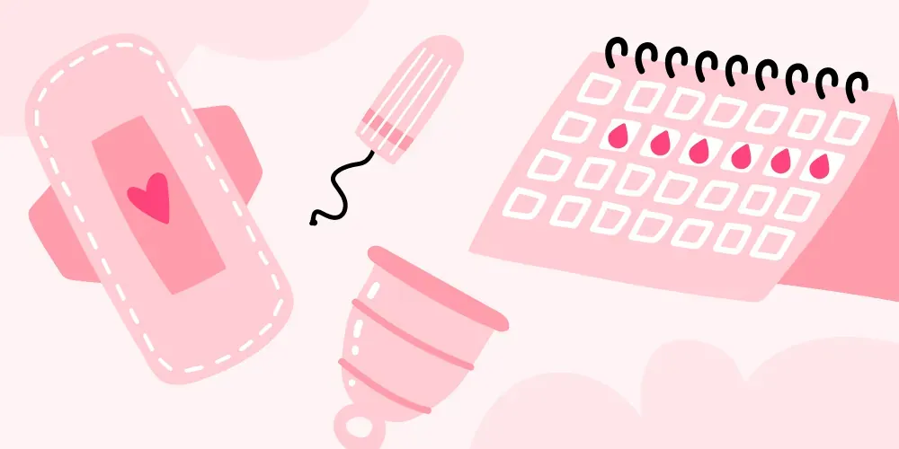 Let’s talk about the menstrual cycle