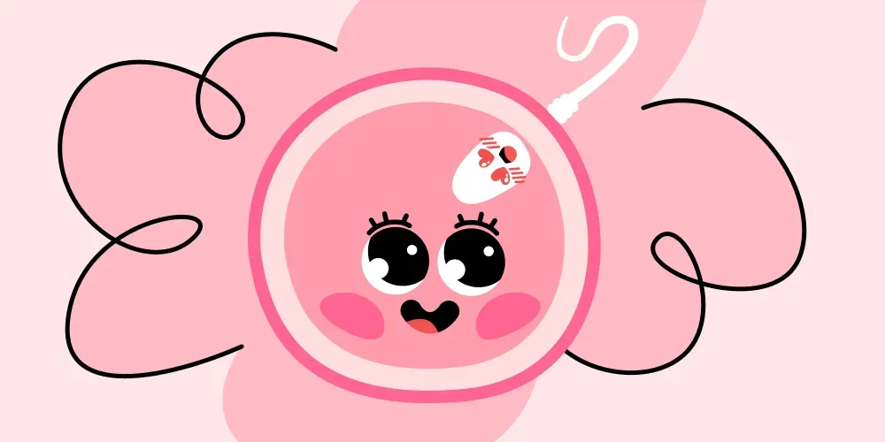 Can sex positions increase the chances of conception?