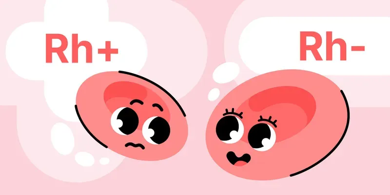 Los peligros de la incompatibilidad Rh