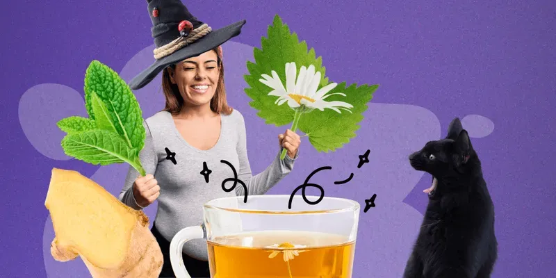 Infusiones de hierbas: ¿buenas o malas?