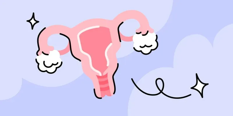 Vamos falar sobre o útero