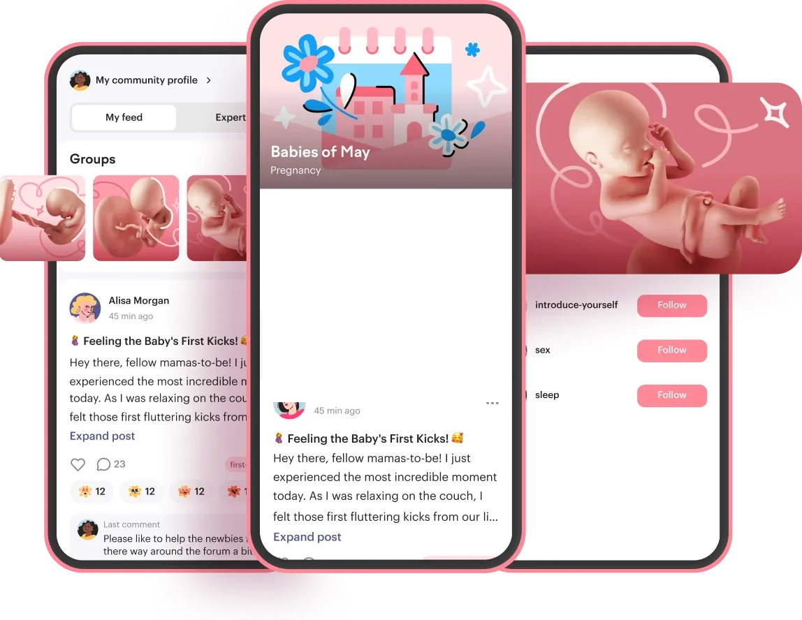 bienvenida a la comunidad de amma