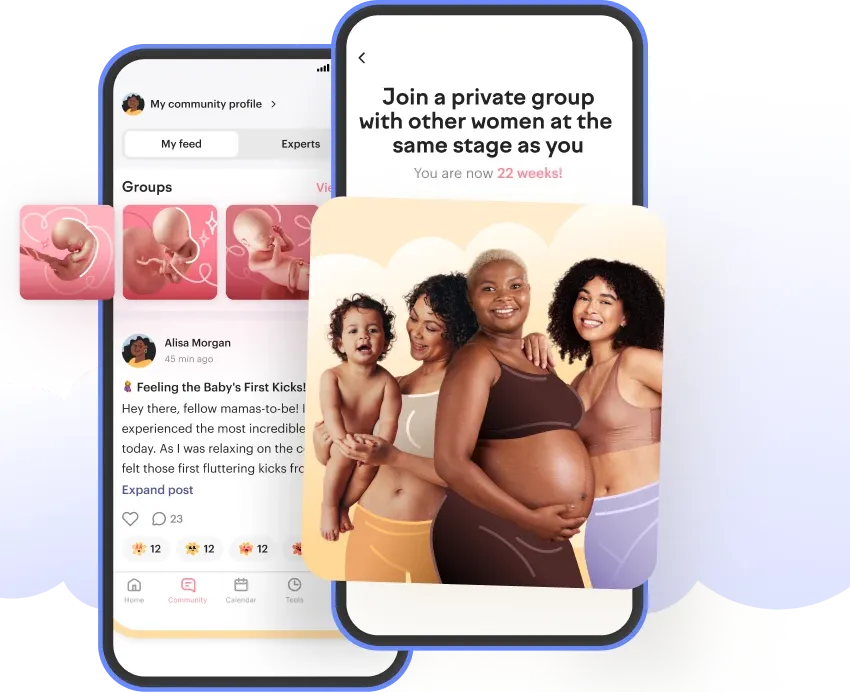 bienvenida a la comunidad de amma