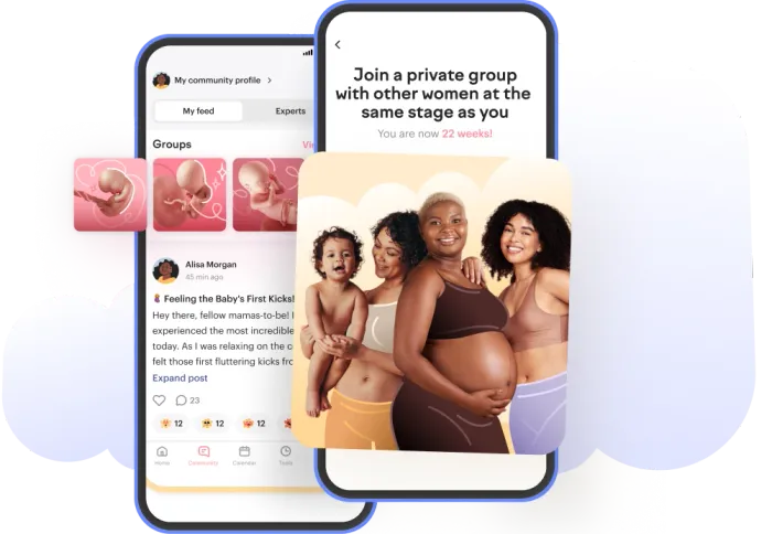 bienvenida a la comunidad de amma