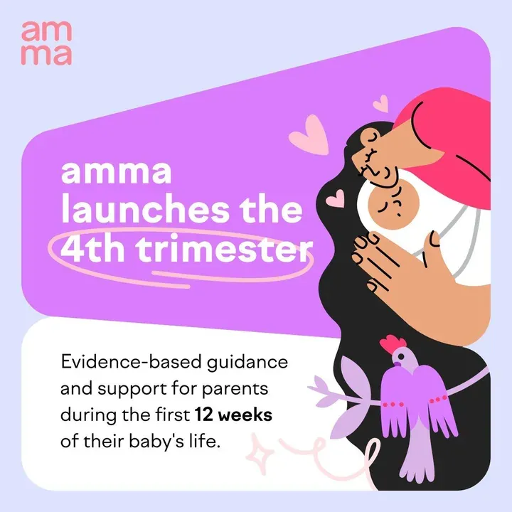 Gráfico de amma: amma lanza el 4.º trimestre