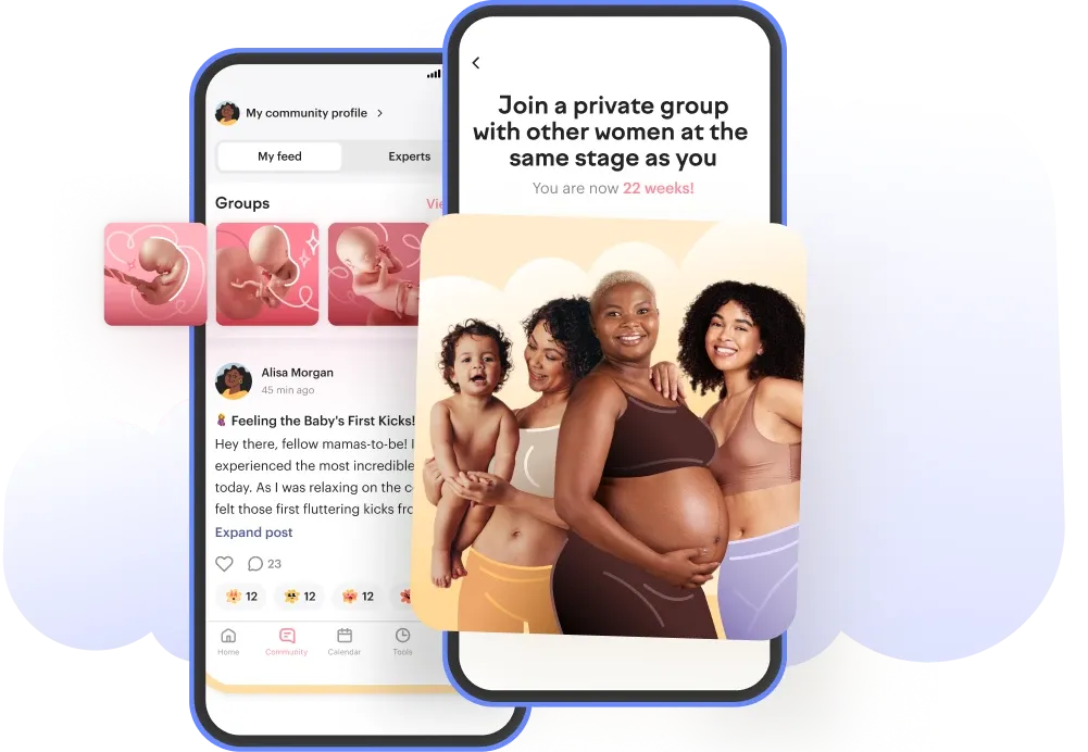 bienvenida a la comunidad de amma