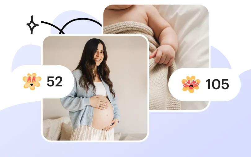 bienvenida a la comunidad de amma