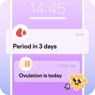 daily notifications