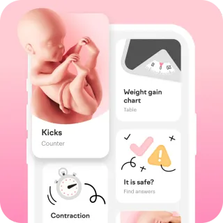 everything in one app