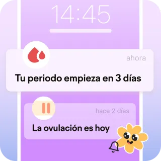 notificaciones diarias