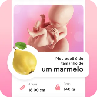 mira cómo crece tu bebé
