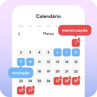 calendário preciso