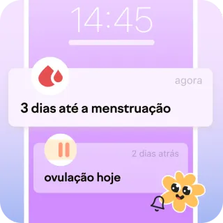 notificações diárias