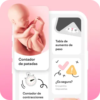 tudo em um único app