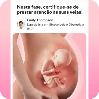 dicas de especialistas para sua semana